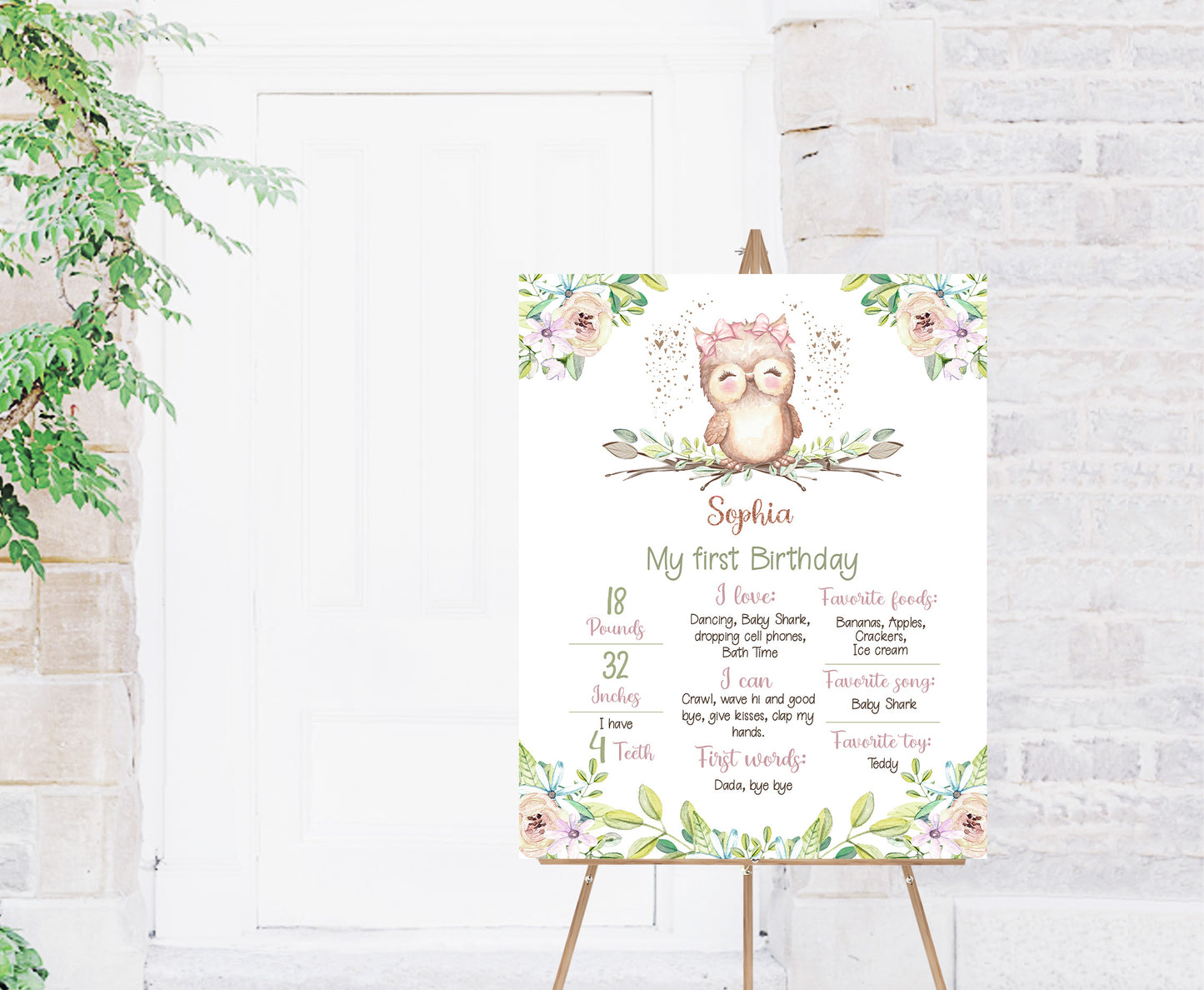 Editable Owl Milestone Poster | Girl Owl 1st Birthday Decorations - 78A