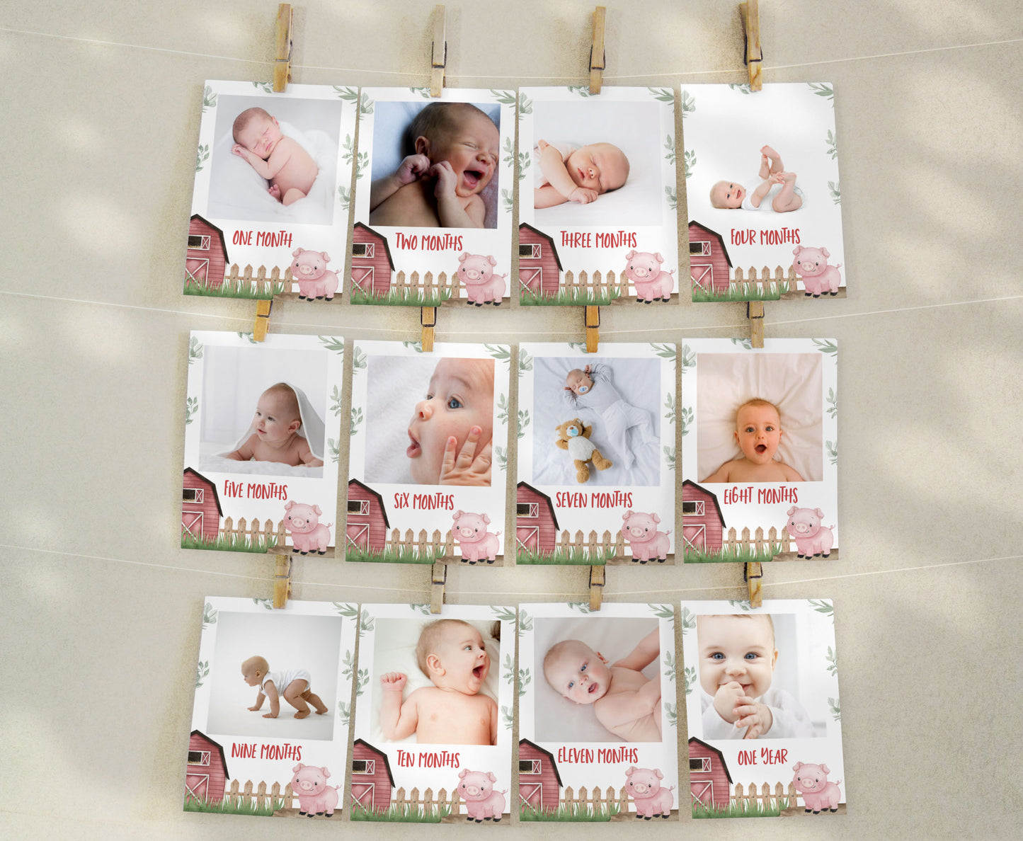 Editable Pig Monthly Photo Milestone Banner | Farm1st Birthday Decorations - 11A