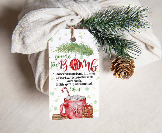 You're the Bomb Tags | Christmas Hot Chocolate Bomb Instructions Favor Tags - 112