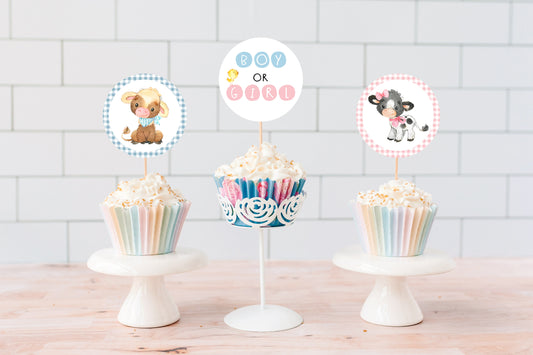 Farm Gender Reveal Cupcake Toppers | Cow Boy or Girl Cupcake Picks - 11C3