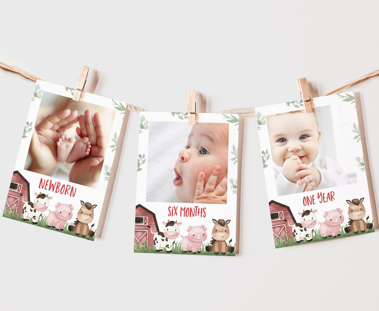 Editable Farm Monthly Photo Milestone Banner | Barnyard 1st Birthday Decoration - 11A