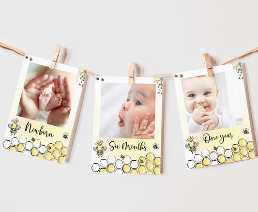 Editable Bee Monthly Photo Banner | Bumble Bee 1st Birthday Decorations - 61A