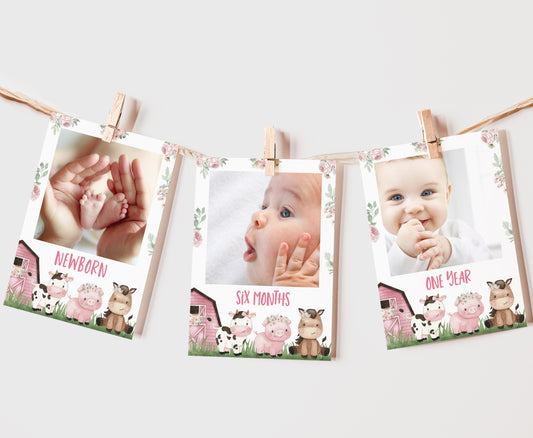 Editable Girl Farm Monthly Photo Milestone Banner | Pink Barnyard 1st Birthday Decorations - 11A