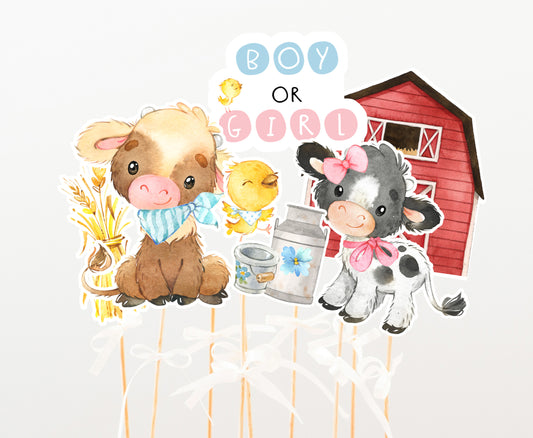 Farm GenderReveal Centerpieces, He or She Party Table Decorations - 11C3