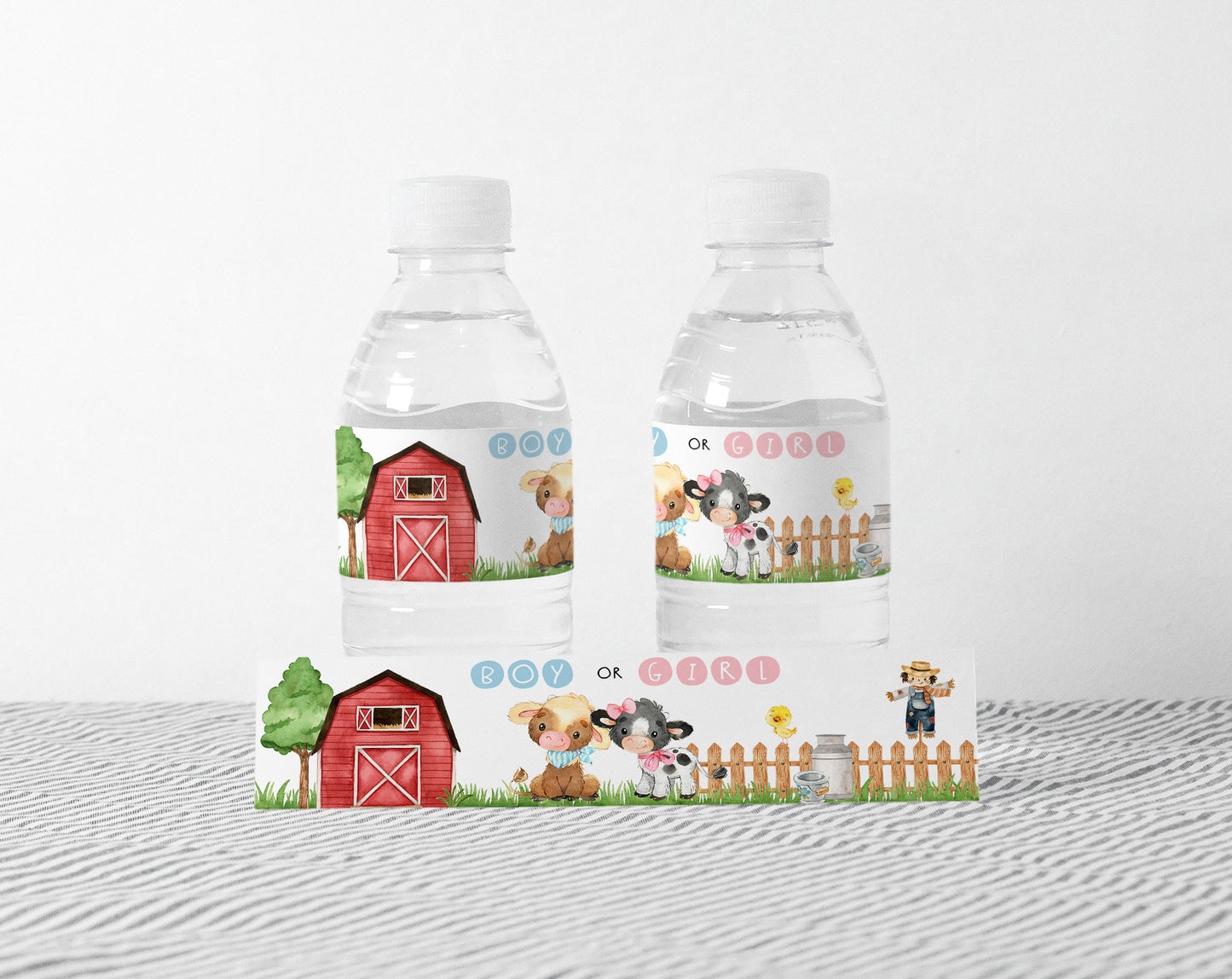 Farm Boy or Girl Water Bottle Labels | Cow Themed Gender Reveal Decorations - 11C3