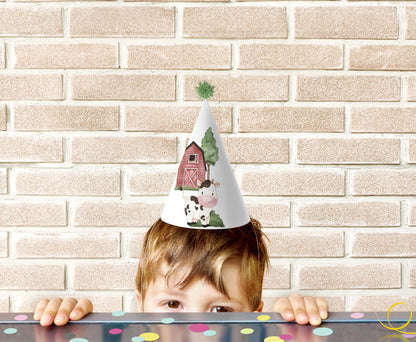 Farm Birthday Party Hats | Barnyard Themed Party Decorations - 11A