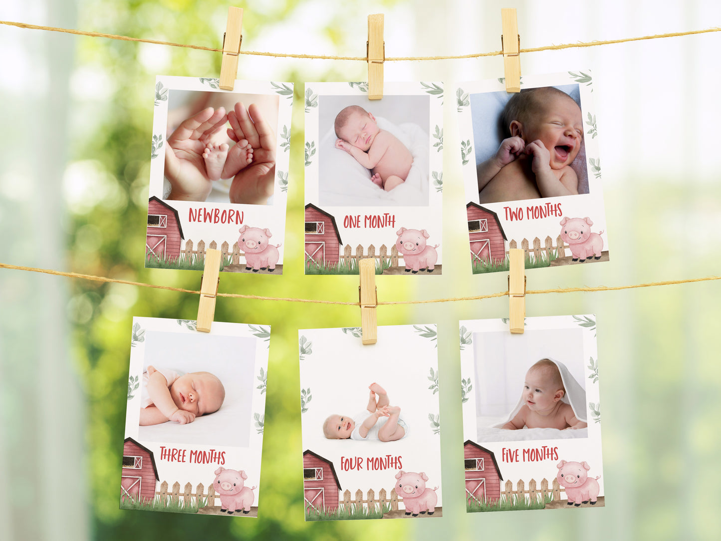 Editable Pig Monthly Photo Milestone Banner | Farm1st Birthday Decorations - 11A