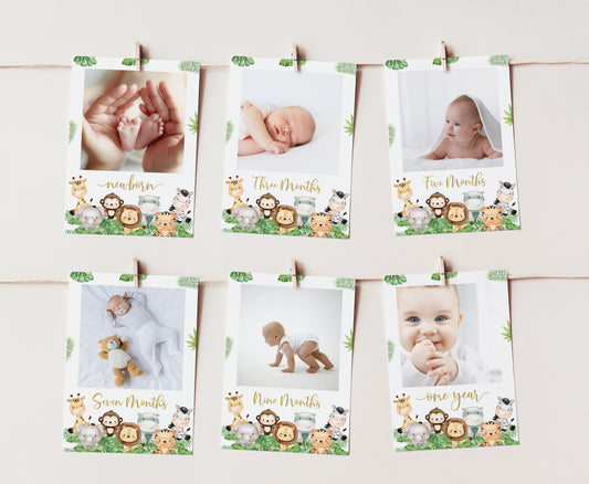 Safari Monthly Banner | Editable Jungle 1st Birthday Decorations - 35E