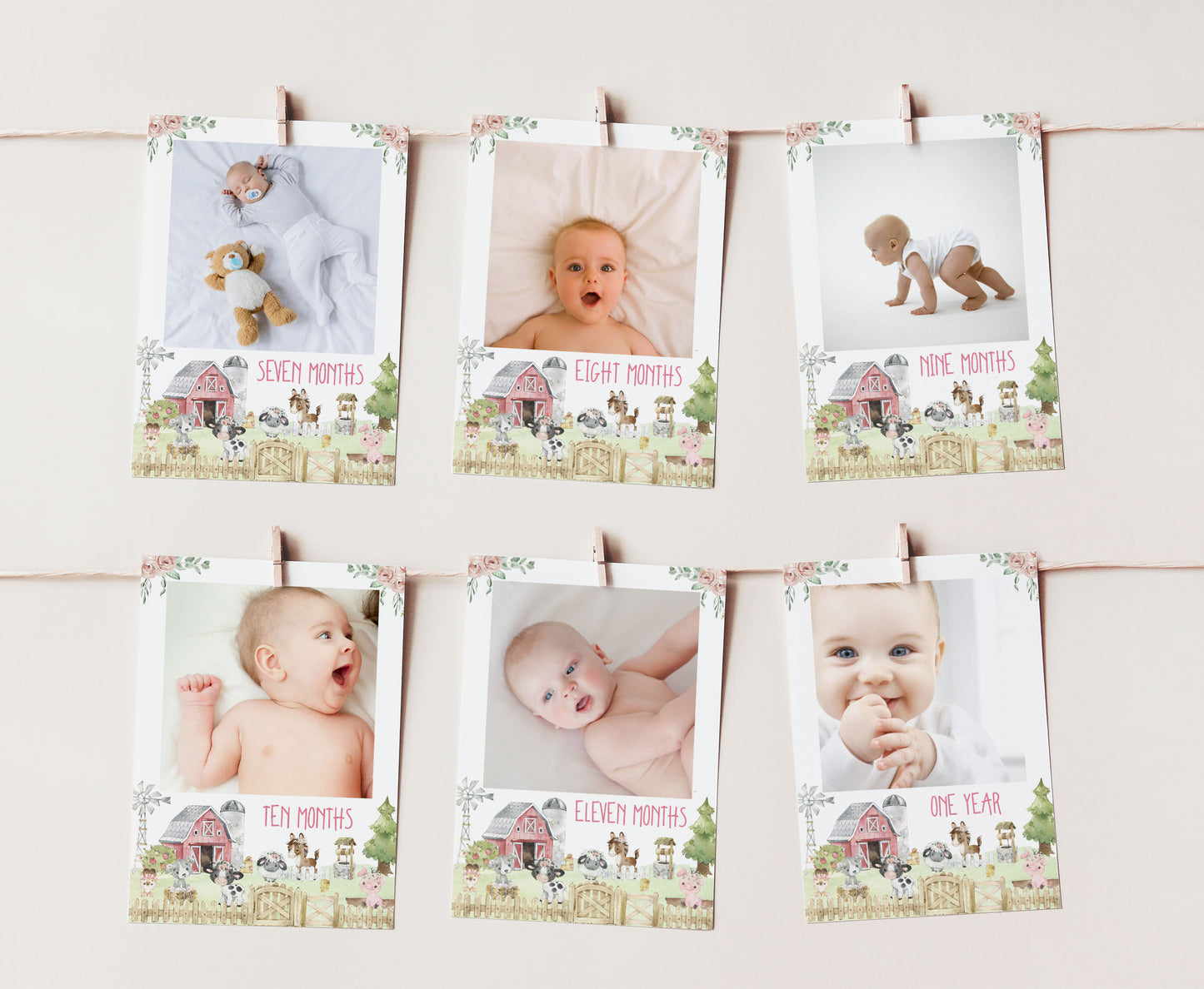 Editable Girl Farm Monthly Photo Milestone Banner | Floral Barnyard 1st Birthday Decorations - 11C