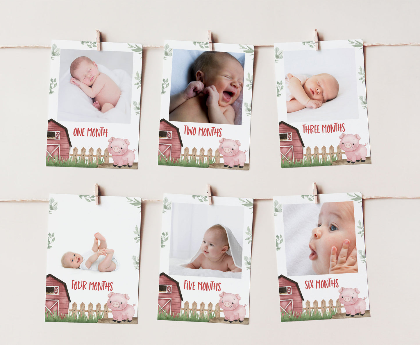 Editable Pig Monthly Photo Milestone Banner | Farm1st Birthday Decorations - 11A