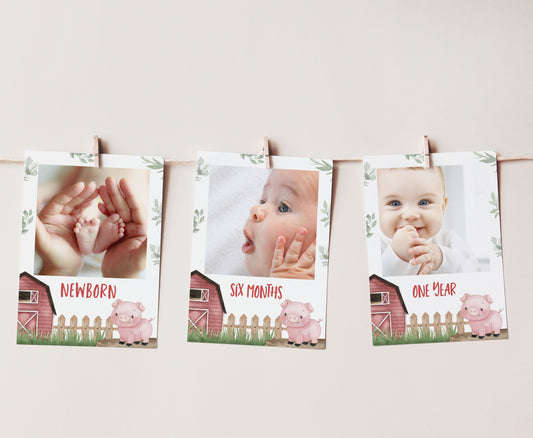 Editable Pig Monthly Photo Milestone Banner | Farm1st Birthday Decorations - 11A