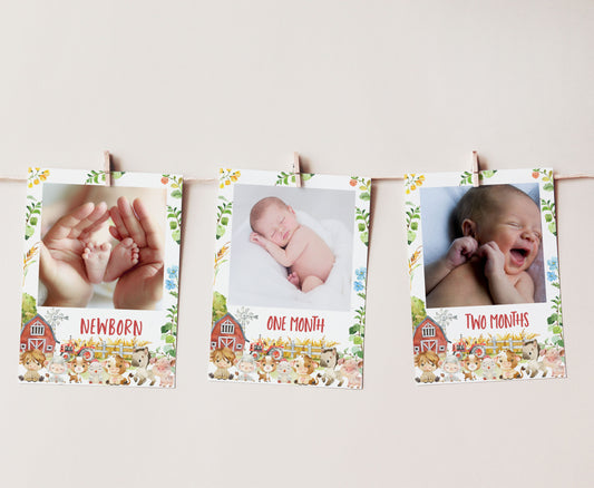 Editable Farm Monthly Photo Milestone Banner |Farm 1st Birthday Decorations - 11D