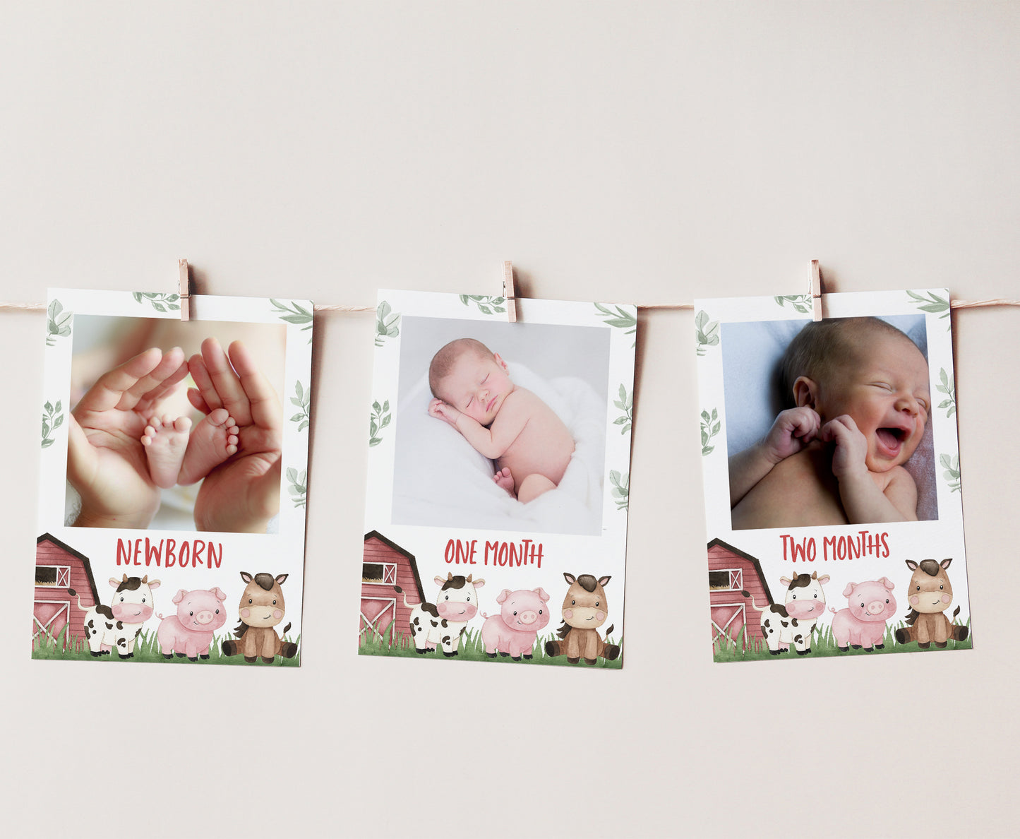 Editable Farm Monthly Photo Milestone Banner | Barnyard 1st Birthday Decoration - 11A