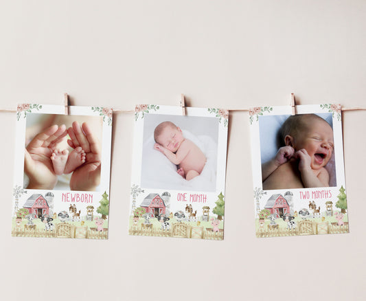 Editable Girl Farm Monthly Photo Milestone Banner | Floral Barnyard 1st Birthday Decorations - 11C