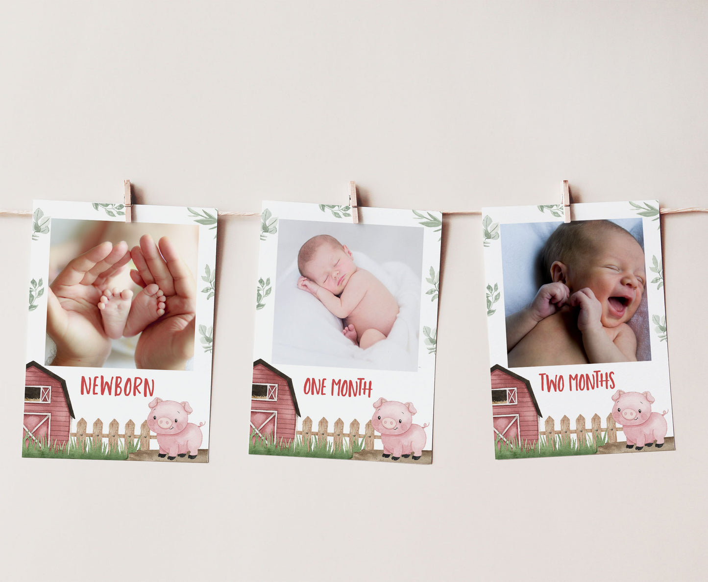 Editable Pig Monthly Photo Milestone Banner | Farm1st Birthday Decorations - 11A