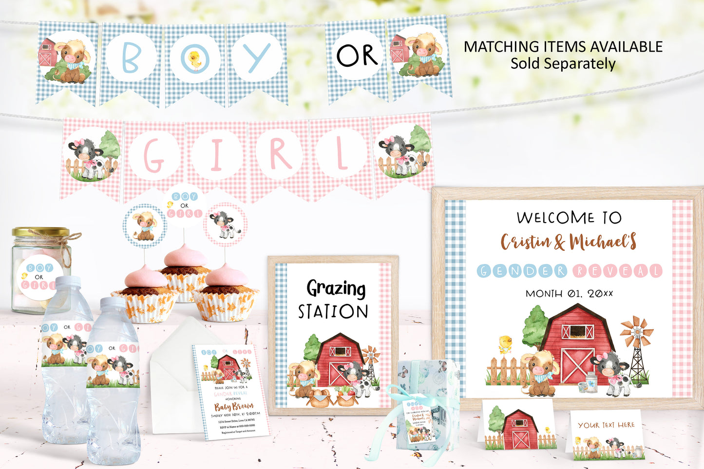 Farm Gender Reveal Cupcake Toppers | Cow Boy or Girl Cupcake Picks - 11C3