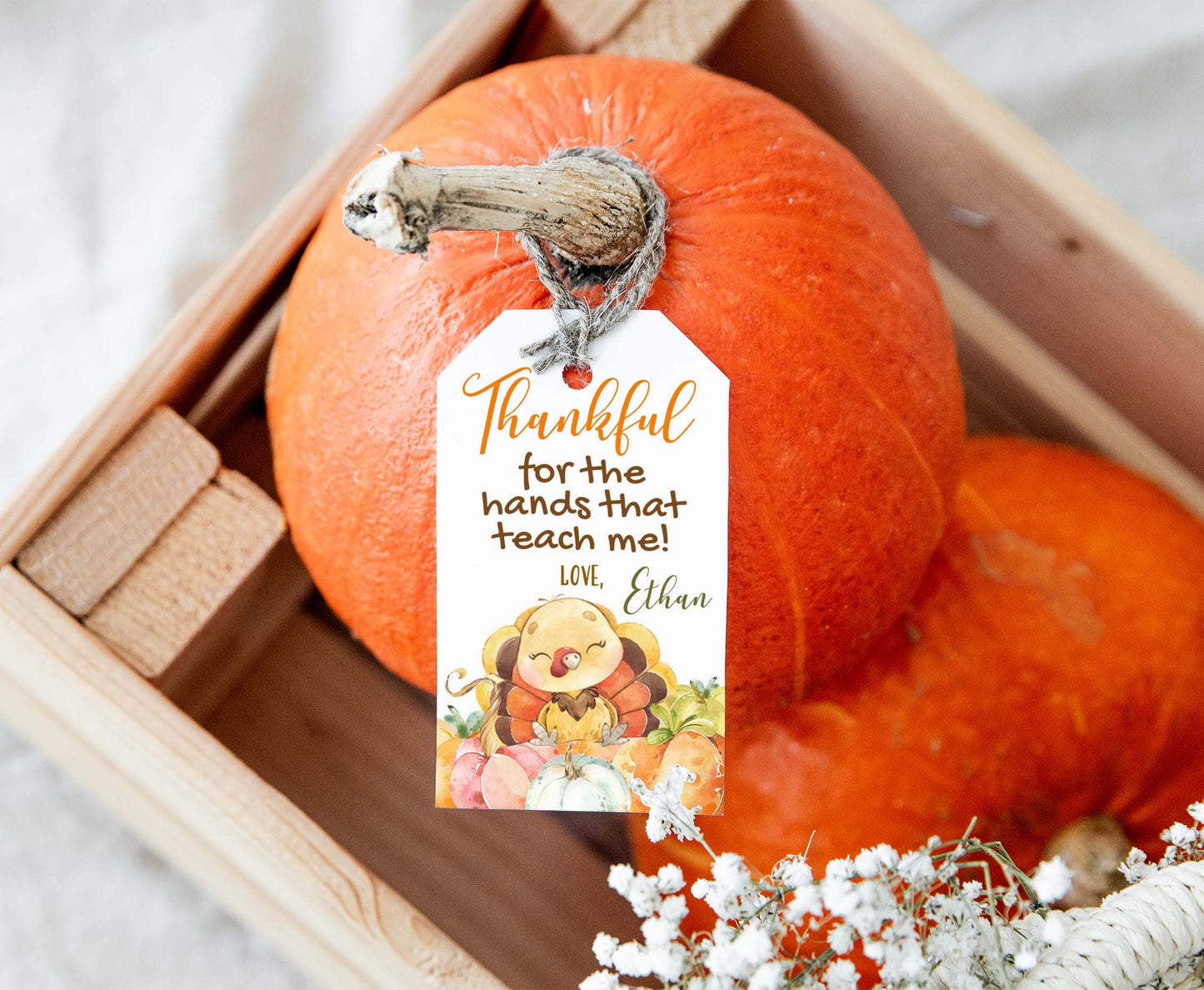 Editable Turkey Thankful Tags | Tnaksgiving Teacher Appreciation Tags - 118