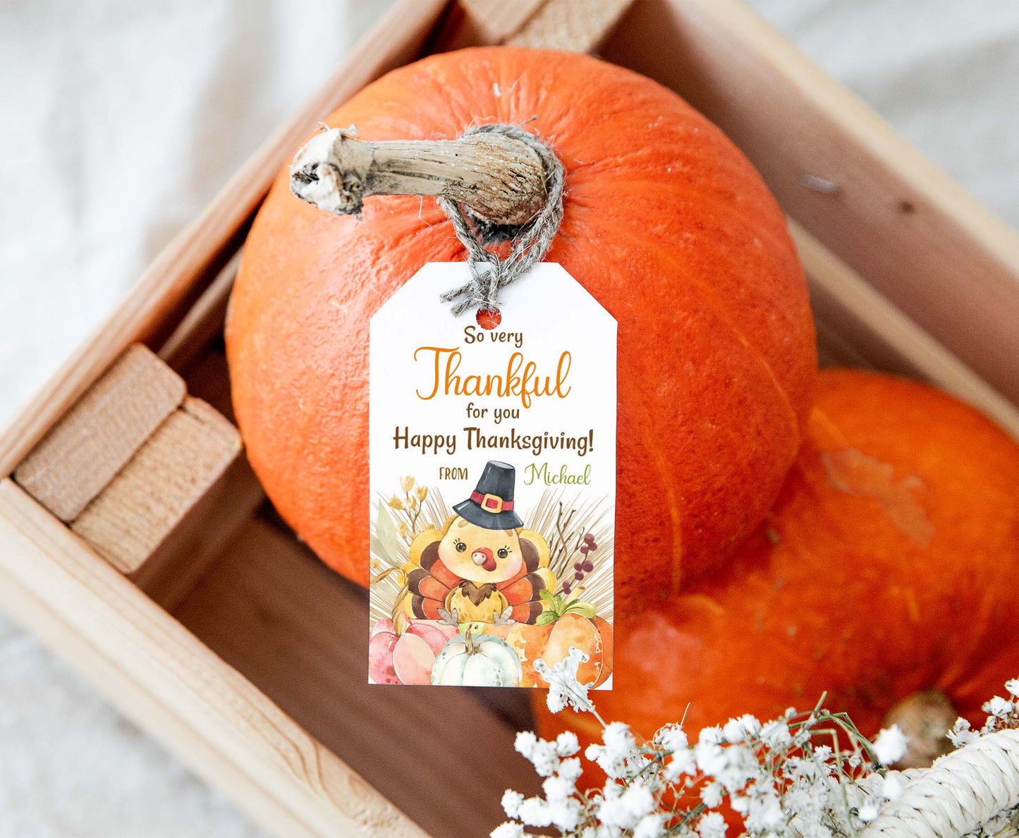 So very Thankful for you Tags | Happy Thanksgiving Tags- 118