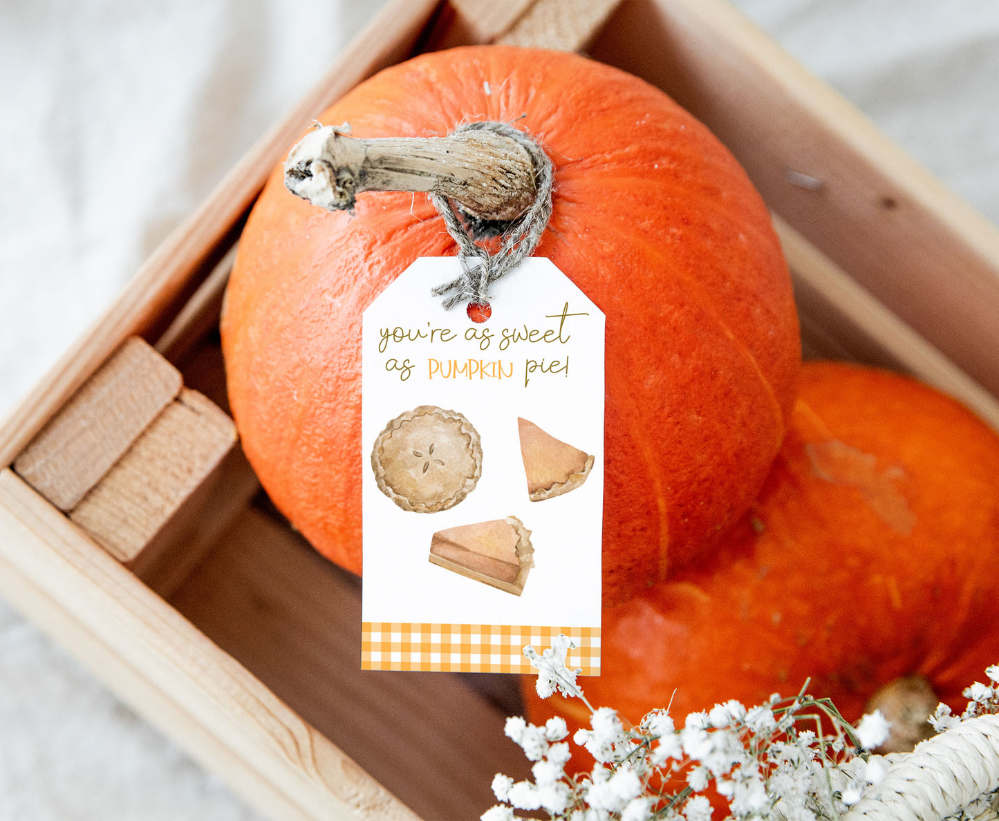 Pumpkin Tags | Fall Favor Tags - 30