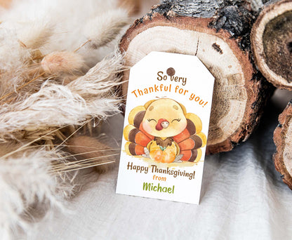 So very Thankful for you Tag | Thanksgiving Thank you Tags - 118