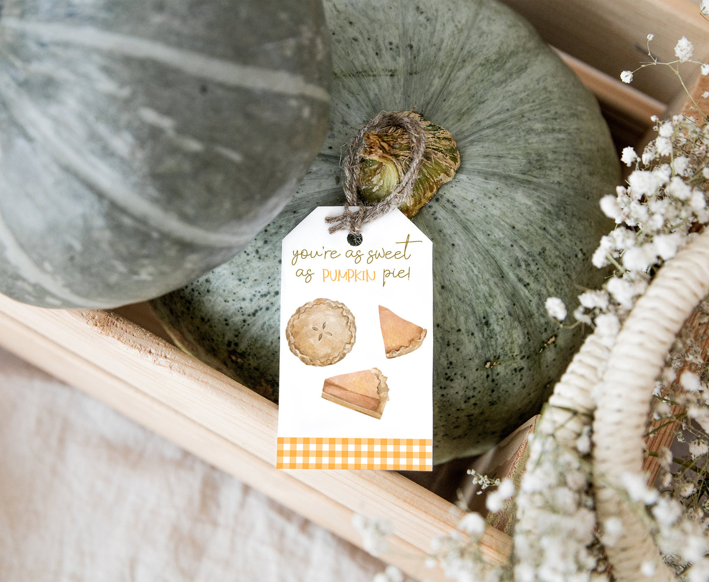 Pumpkin Tags | Fall Favor Tags - 30