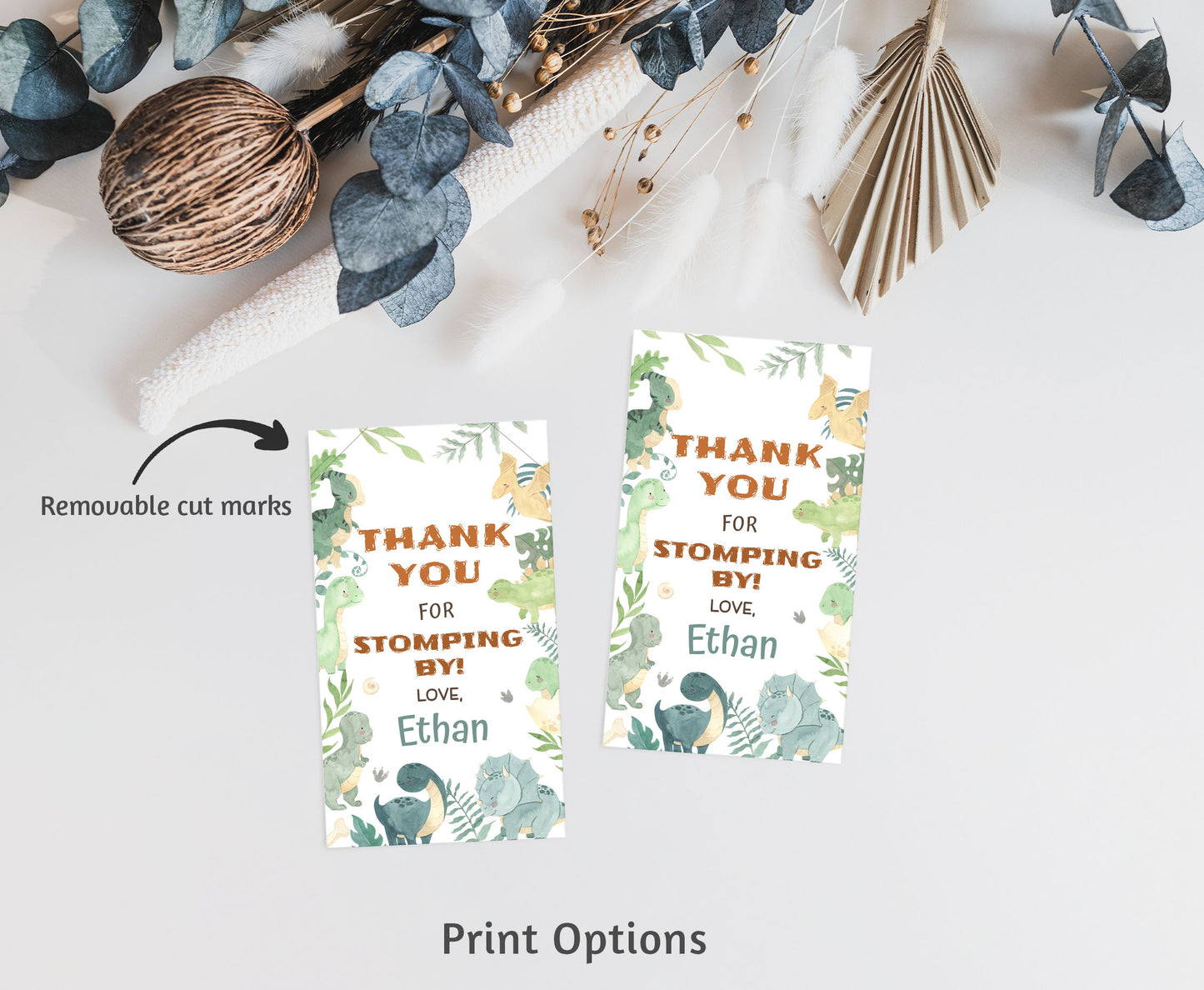 Editable Dinosaurs Thank You Tags | Dino Birthday Party Favor Tags - 08B